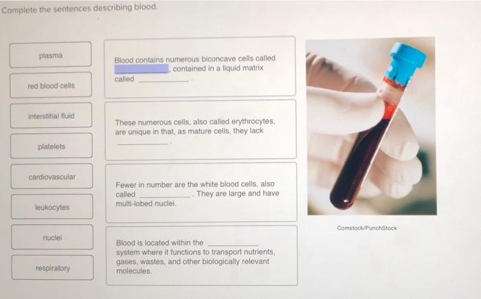 Complete the following sentences describing venous blood flow