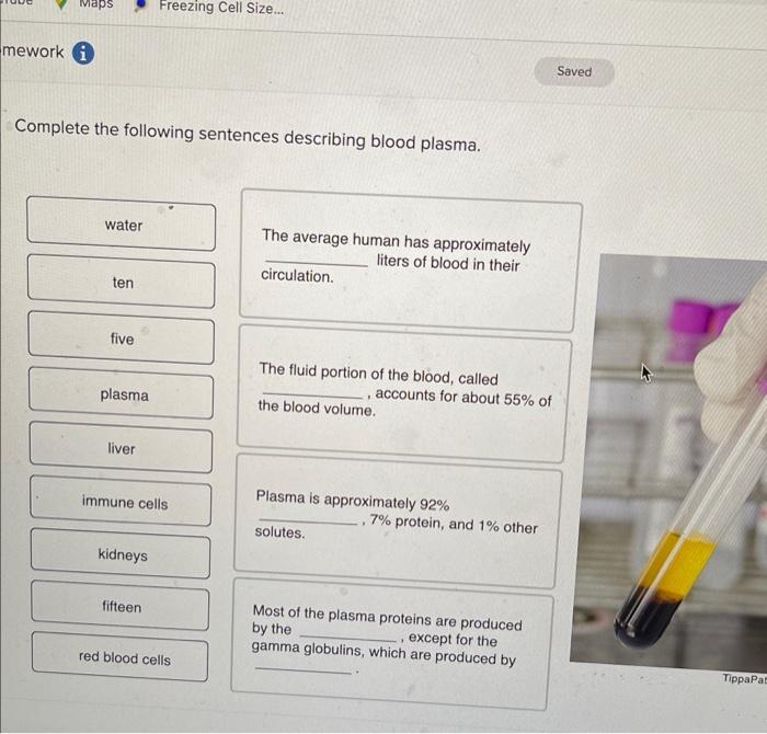 Complete the following sentences describing venous blood flow