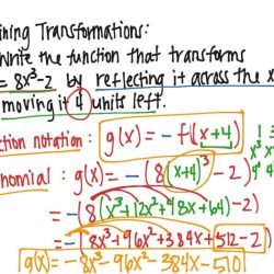 Transforming polynomial functions quiz part 1